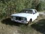 DSC01689.JPG