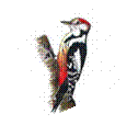 http://im5-tub.yandex.net/i?id=