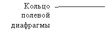 Выноска 2 (без границы): Кольцо полевой диафрагмы