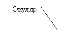 Выноска 2 (без границы): Окуляр