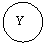 ����: Y