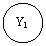 ����: Y1