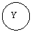 ����: Y