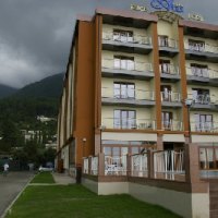 Алекс Вич