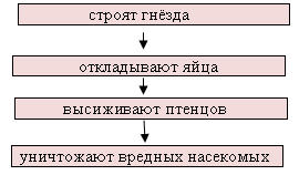 img4
