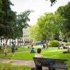 CATS College