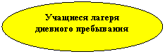 Овал: Учащиеся лагеря дневного пребывания