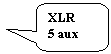 ����������� ������������� �������: XLR

5 aux

