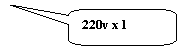 ����������� ������������� �������: 220v x 1