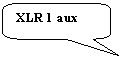 ����������� ������������� �������: XLR 1 aux