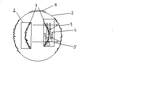 _2.bmp