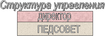 директор,Структура управления,ПЕДСОВЕТ
