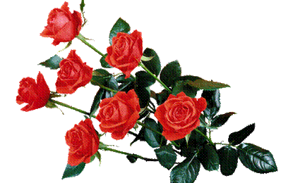 http://*****/images/attach/c/2/72/673/__1920flower_1_54.jpg