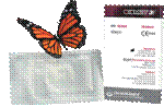 OsseoGuard_ProductButterfly