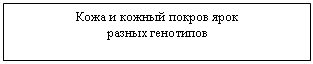 �������: ���� � ������ ������ ���� 

������ ���������

