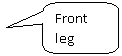 Скругленная прямоугольная выноска: Front leg