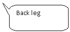 Скругленная прямоугольная выноска: Back leg
