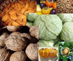 Продукты для питания мозга