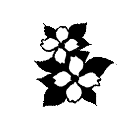 na01141_