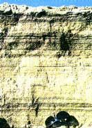 Cross-section