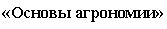 �������: