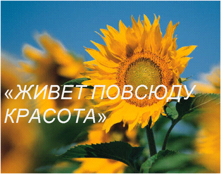�������: «����� ������� �������»

