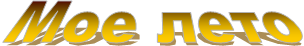 ��� ����