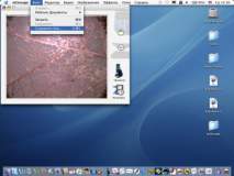 http://*****/user/f//miXscope/miXscope/tn_kartinka_008.jpg