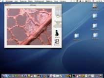 http://*****/user/f//miXscope/miXscope/tn_kartinka_013.jpg