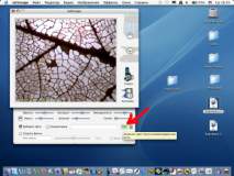 http://*****/user/f//miXscope/miXscope/tn_kartinka_019.jpg