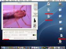 http://*****/user/f//miXscope/miXscope/tn_kartinka_047.jpg
