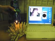 http://*****/user/f//miXscope/miXscope/tn_0010.jpg