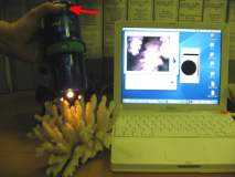 http://*****/user/f//miXscope/miXscope/tn_0011.jpg
