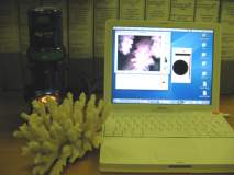 http://*****/user/f//miXscope/miXscope/tn_0012.jpg