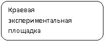 Скругленный прямоугольник: Краевая экспериментальная площадка