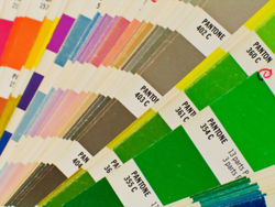 ������ ������ Pantone