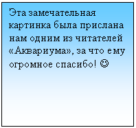 �������: ��� ������������� �������� ���� �������� ��� ����� �� ��������� «���������», �� ��� ��� �������� �������! J