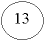 Овал: 13