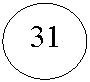 Овал: 31
