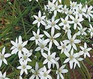 Картинка 14 из 18