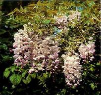 Картинка 17 из 89