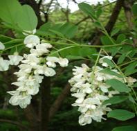Картинка 1 из 572