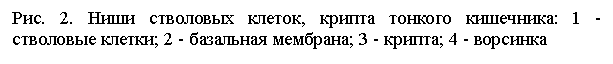 �������: