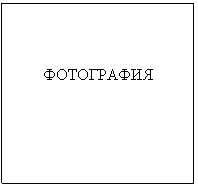 �������: ����������

