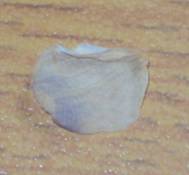 DSC02070