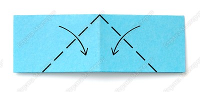 http://*****/files/imagecache/orig_with_logo2/images/techno/paper/module/PICT8979.jpg