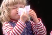 http://latimesblogs.latimes.com/photos/uncategorized/2008/10/07/newsneeze.jpg