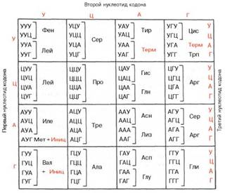 �������� 17 �� 12660