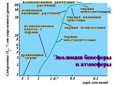 slide49.gif