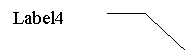 ������� 3 (��� �������): Label4
